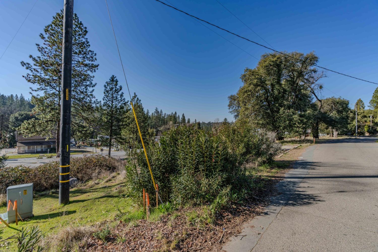 State Highway 88, Pine Grove, California image 11