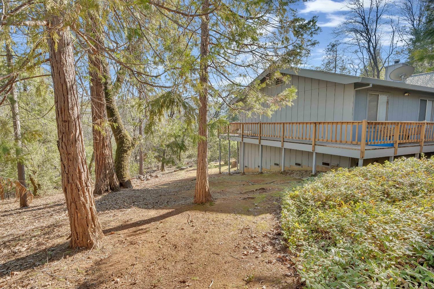 Detail Gallery Image 52 of 65 For 13839 Shirley Dr, Dobbins,  CA 95935 - 3 Beds | 2 Baths
