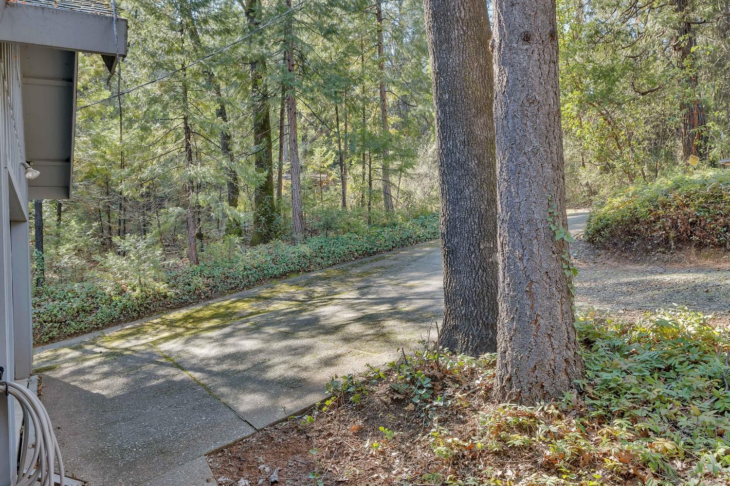 Detail Gallery Image 55 of 65 For 13839 Shirley Dr, Dobbins,  CA 95935 - 3 Beds | 2 Baths