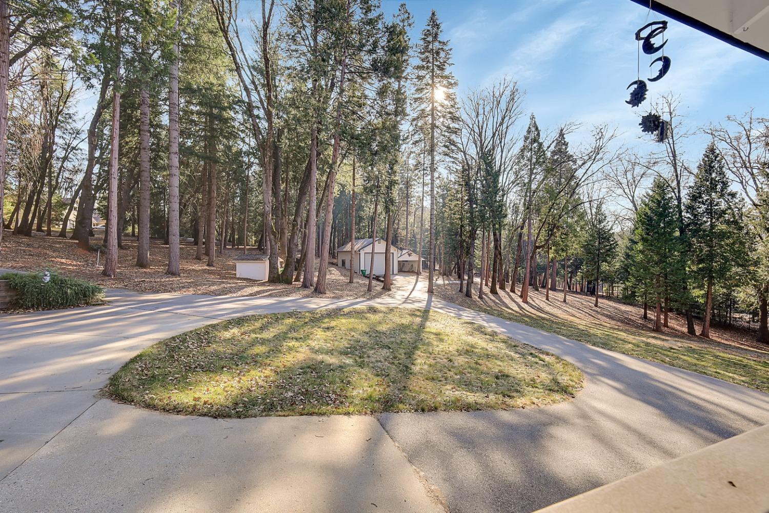 Madrone Forest Drive, Nevada City, California image 5