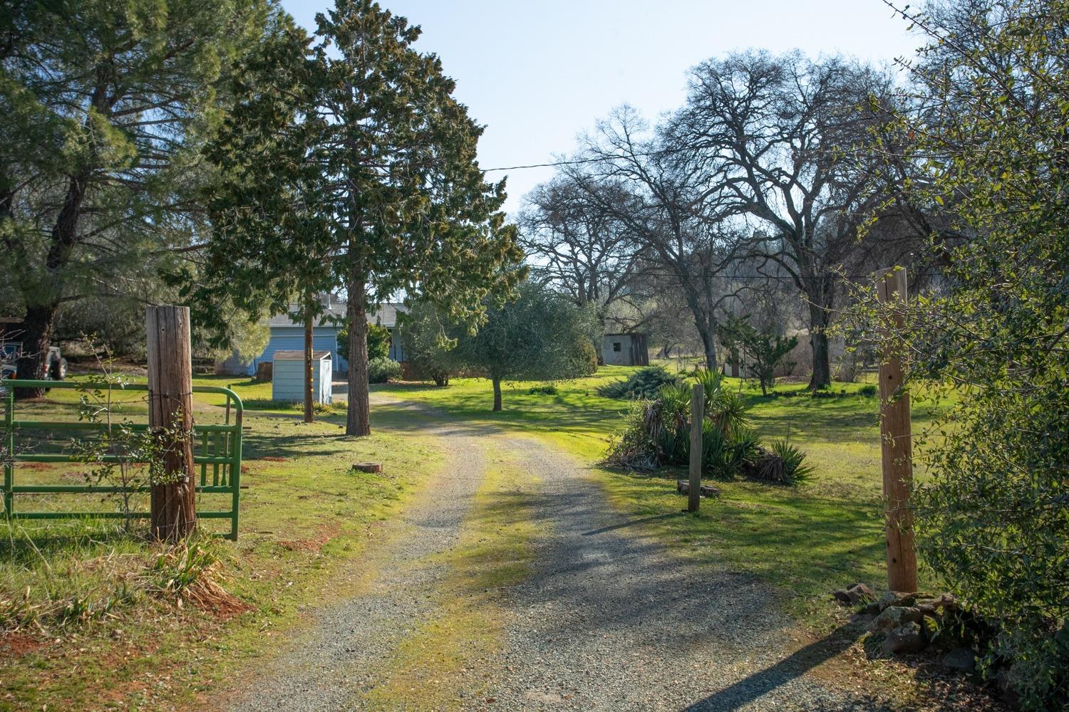 Marysville Road, Browns Valley, California image 20