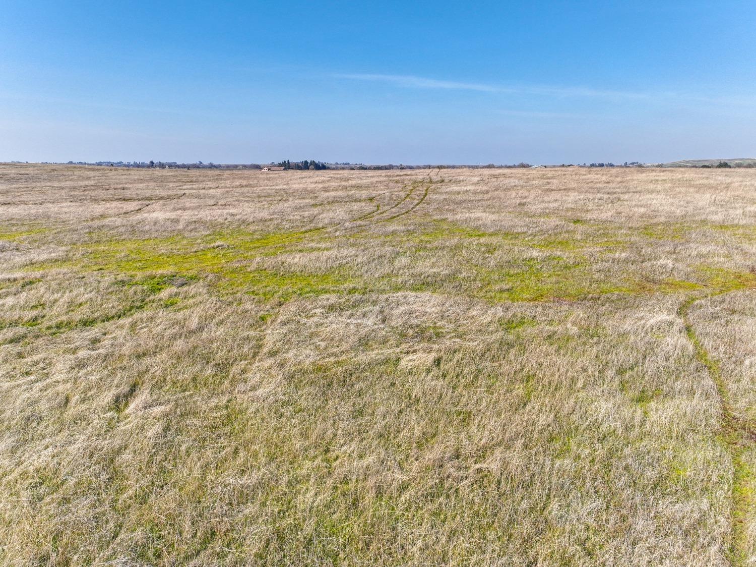 Dillard Road, Sloughhouse, California image 19