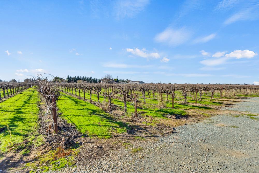Detail Gallery Image 86 of 95 For 6539 E Peltier Rd, Acampo,  CA 95220 - 3 Beds | 2/1 Baths