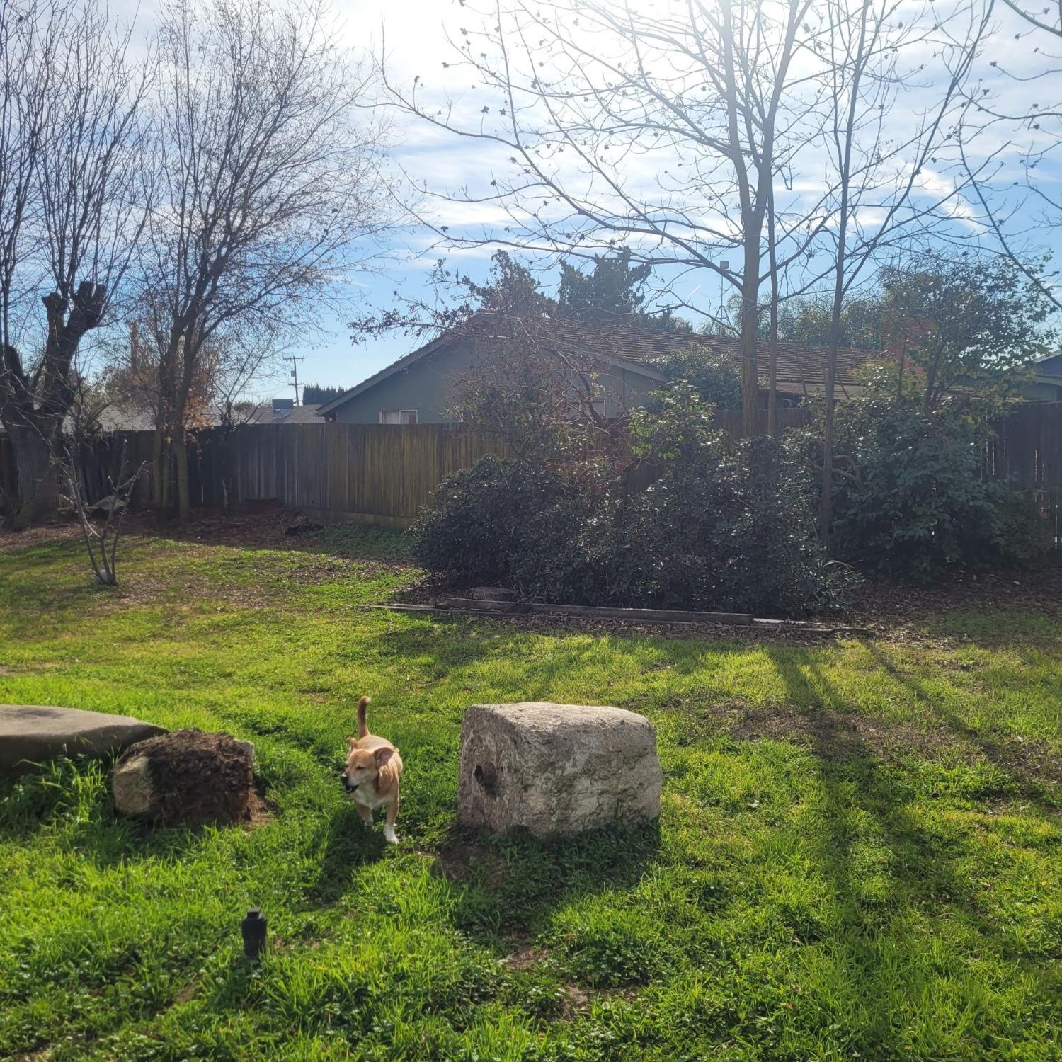 Detail Gallery Image 11 of 22 For 1401 E Blossom St, Dos Palos,  CA 93620 - 4 Beds | 2 Baths