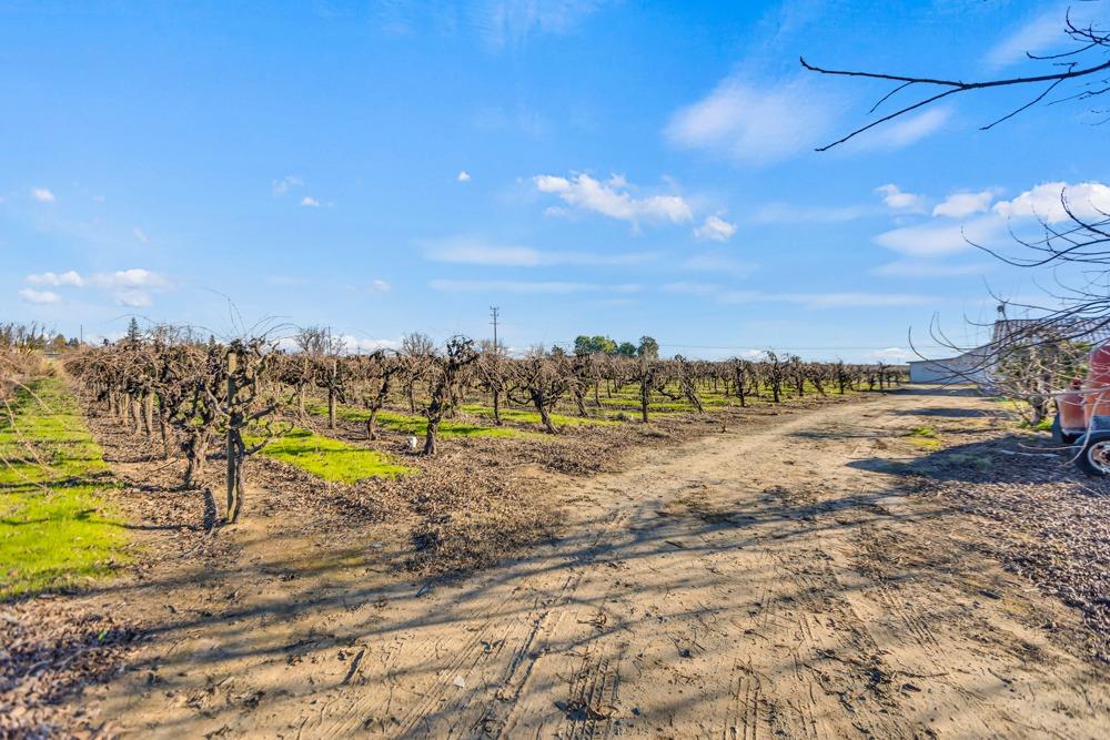 Detail Gallery Image 84 of 95 For 6539 E Peltier Rd, Acampo,  CA 95220 - 3 Beds | 2/1 Baths