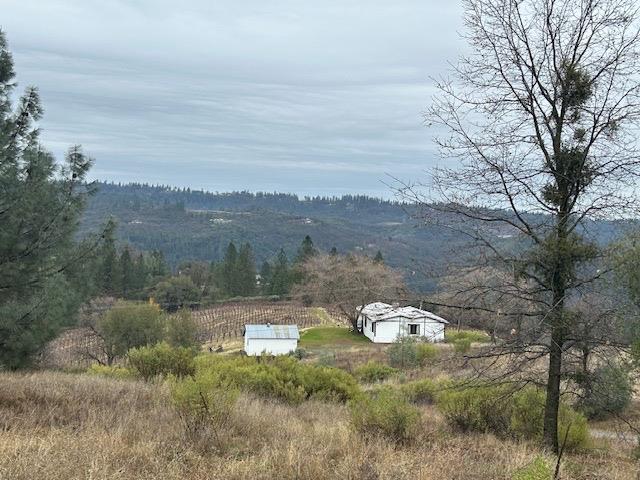 Gravel Road, Placerville, California image 4