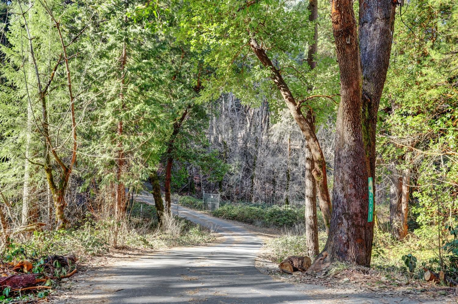 12233 E Bennett Road, Grass Valley, California image 5