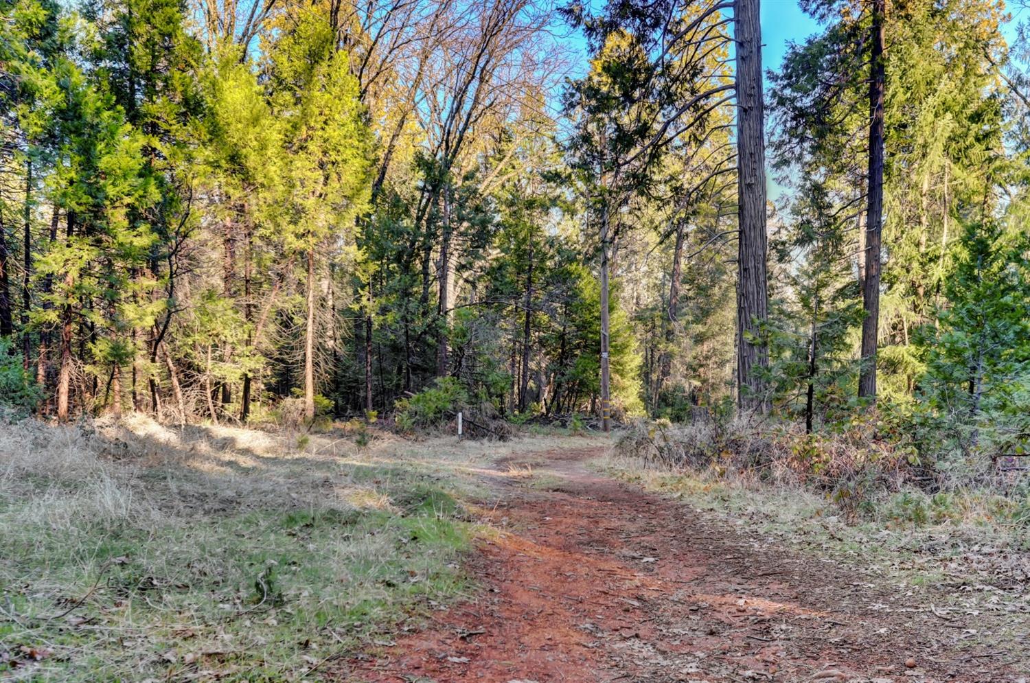 Cedar Ridge Drive, Grass Valley, California image 1