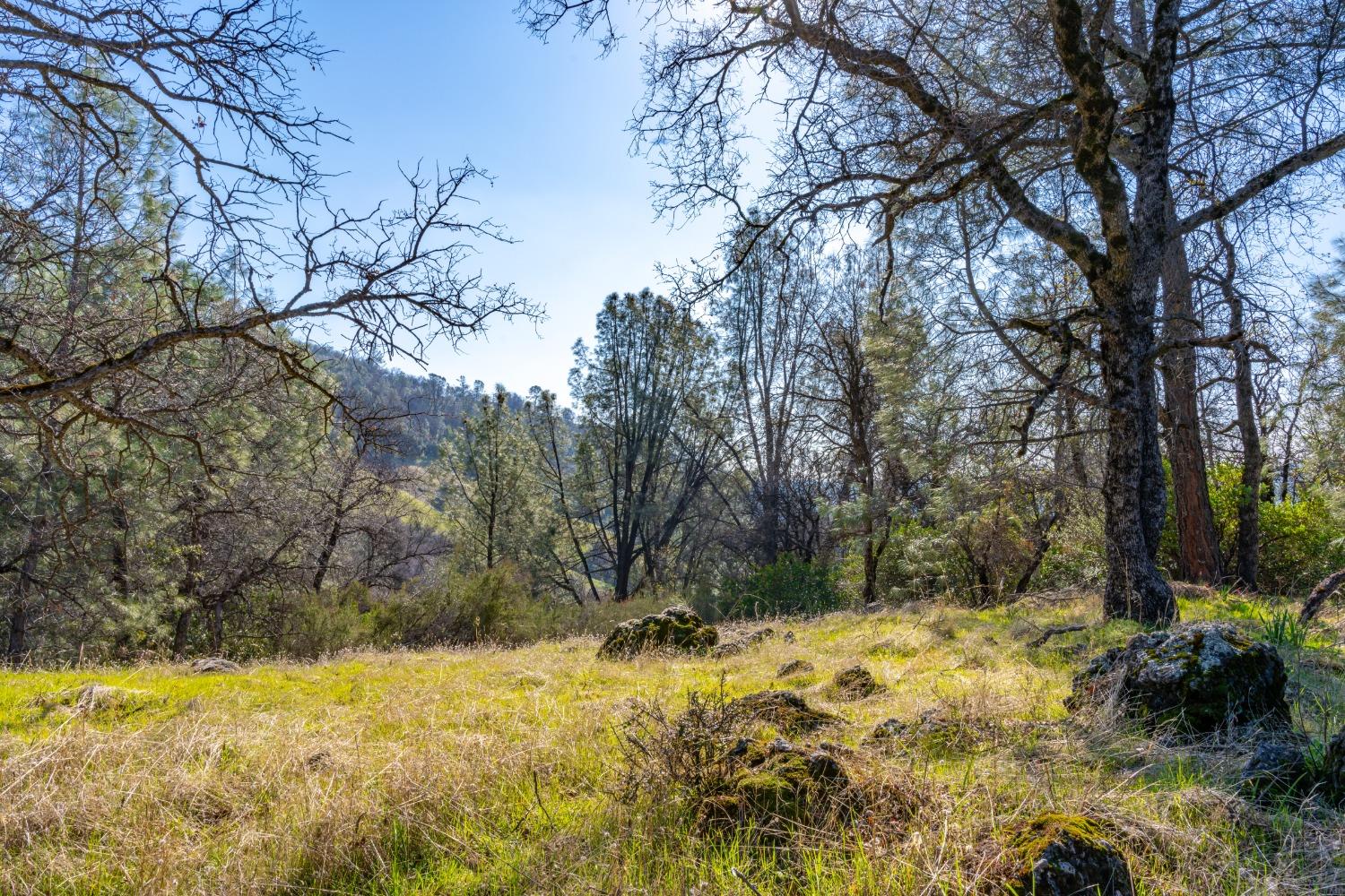 Mt Murphy Road, Garden Valley, California image 30