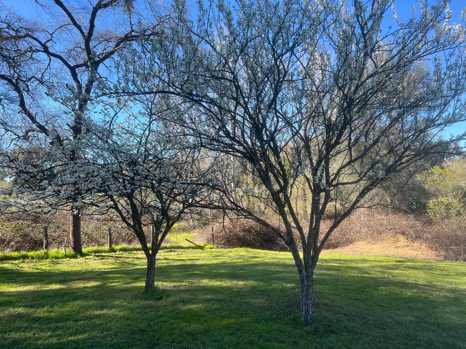 Grass Valley Highway, Auburn, California image 19