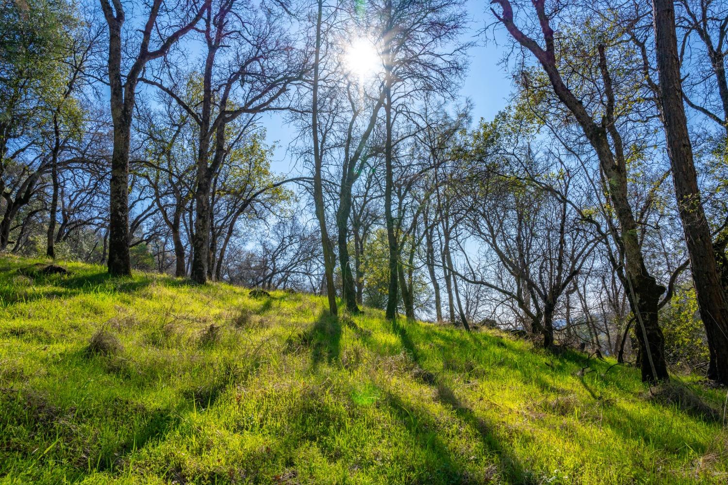 Mt Murphy Road, Garden Valley, California image 12