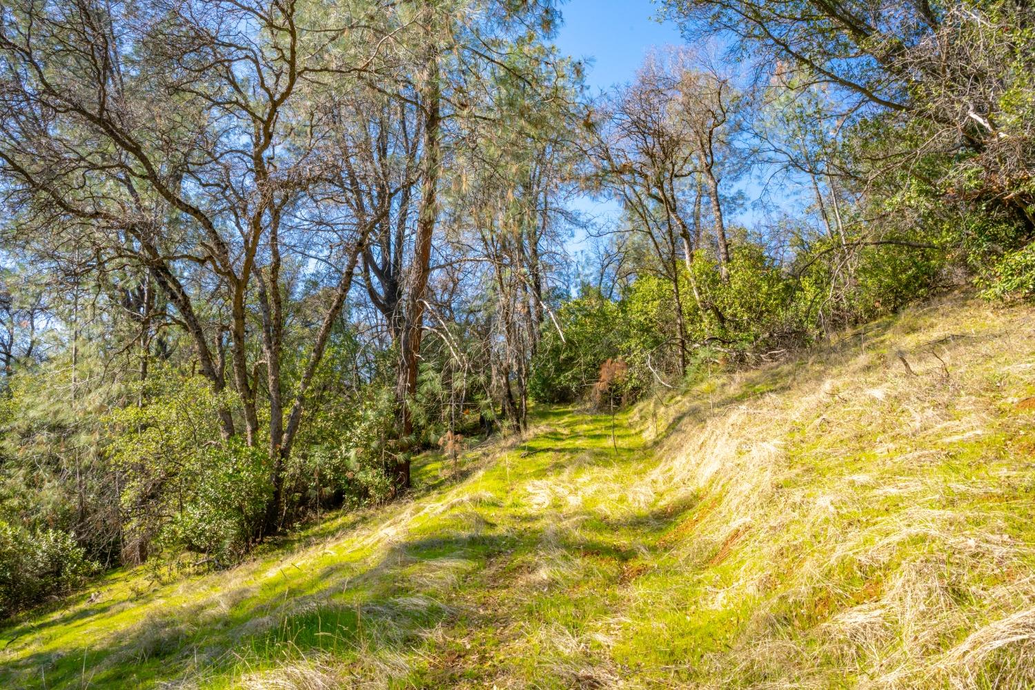 Mt Murphy Road, Garden Valley, California image 7