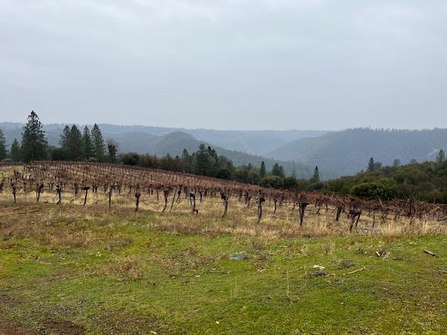 Gravel Road, Placerville, California image 2