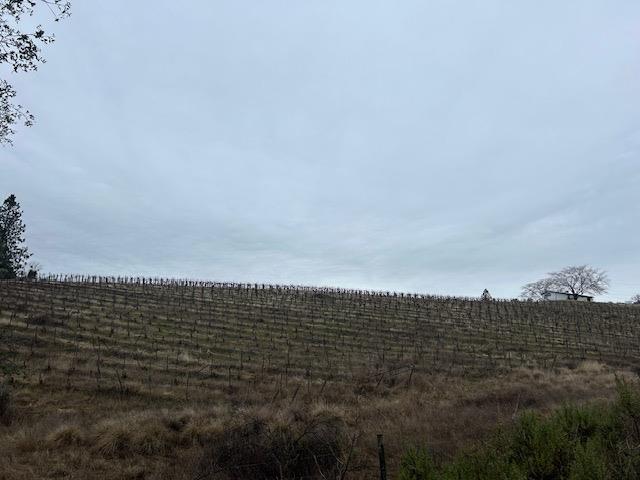 Gravel Road, Placerville, California image 3