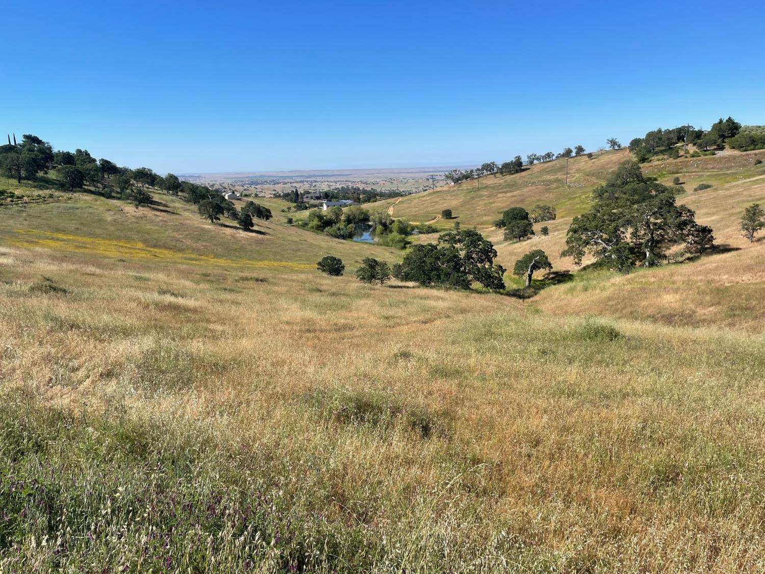 Alamo Drive, La Grange, California image 1