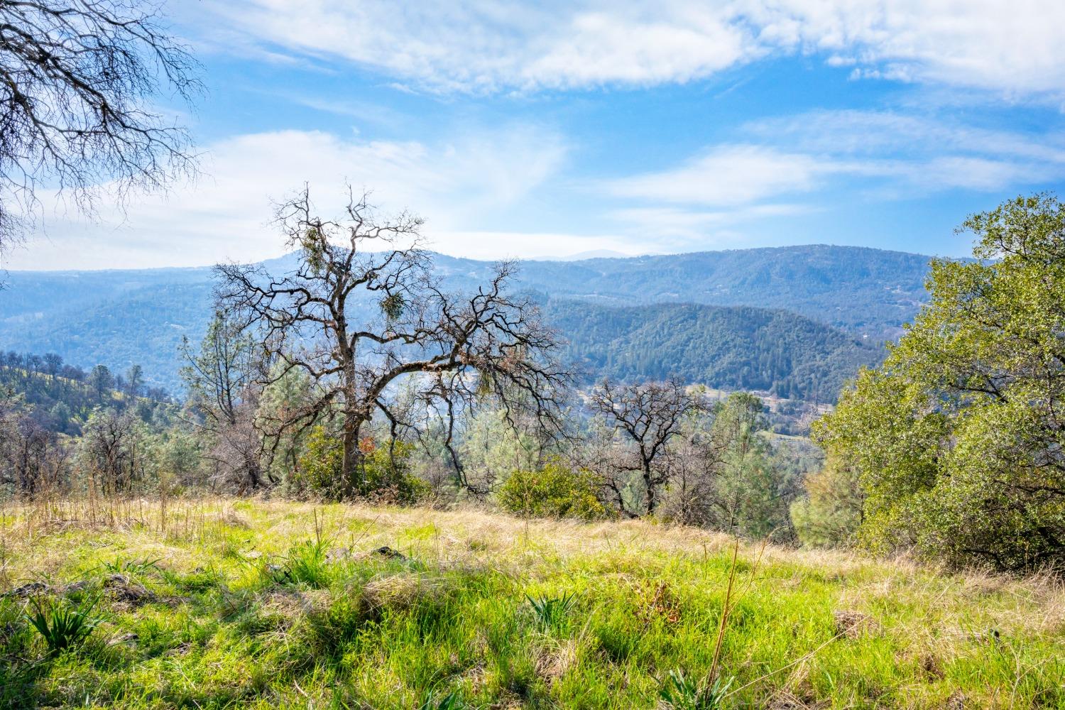 Mt Murphy Road, Garden Valley, California image 34