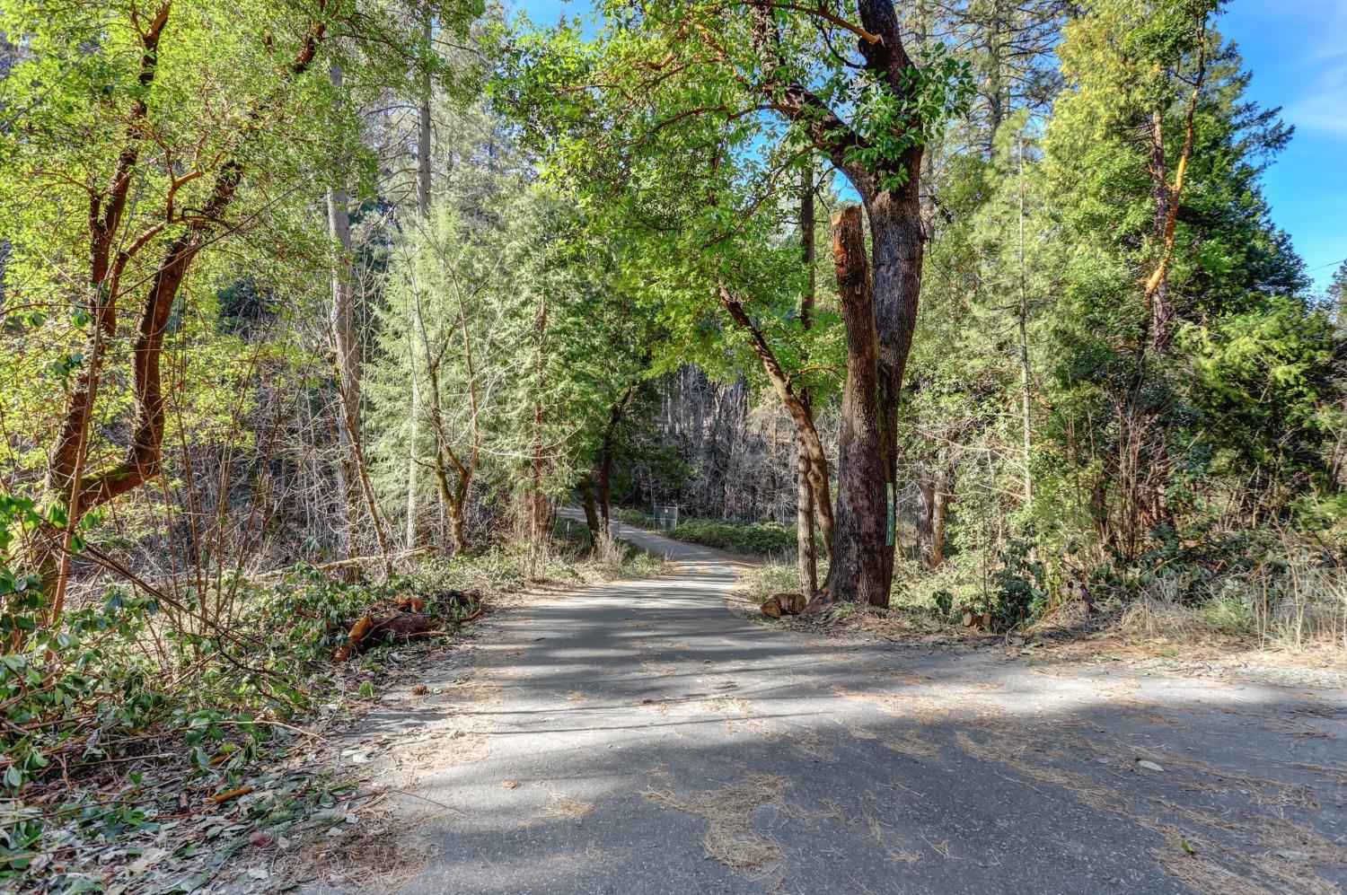 12233 E Bennett Road, Grass Valley, California image 9