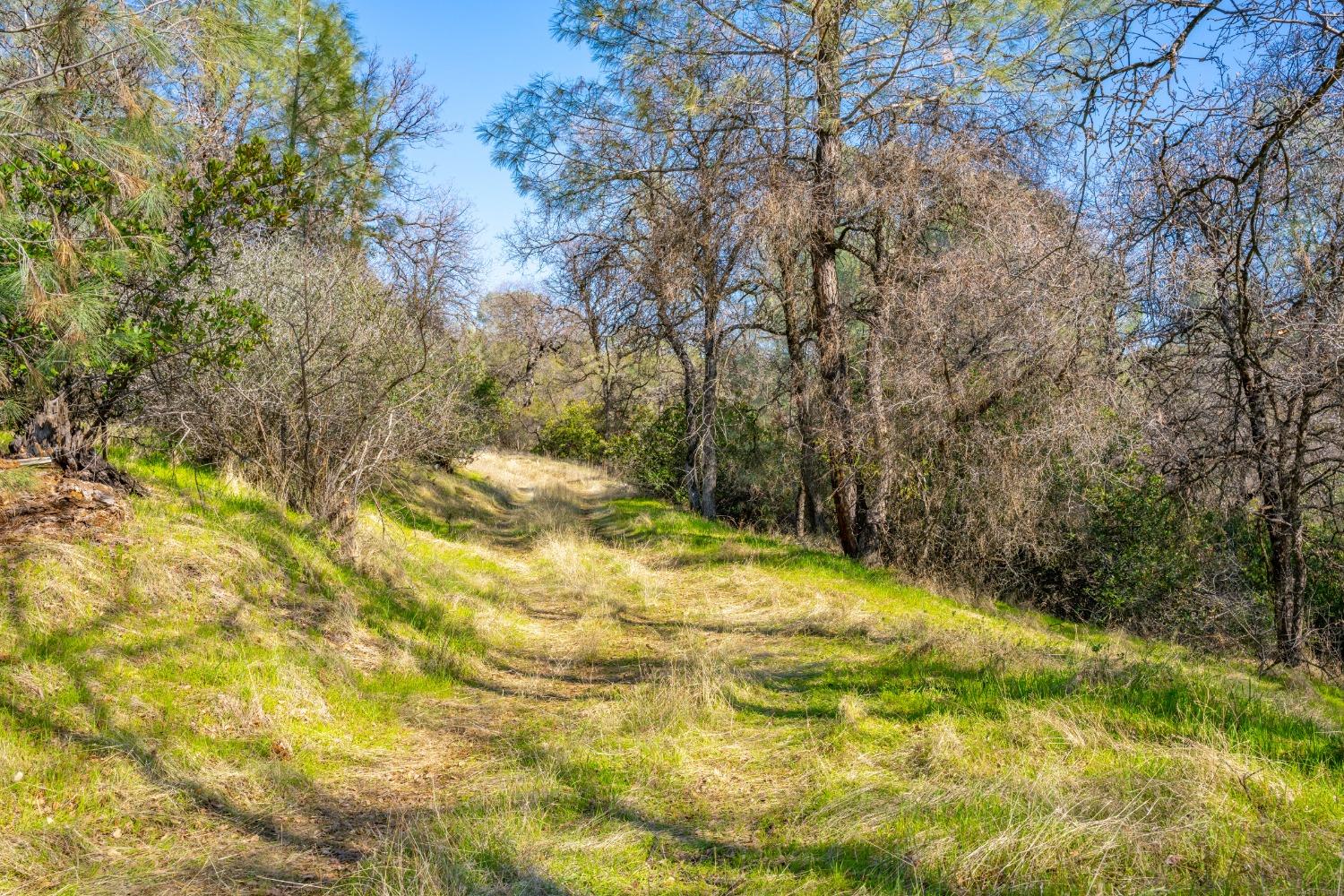 Mt Murphy Road, Garden Valley, California image 17