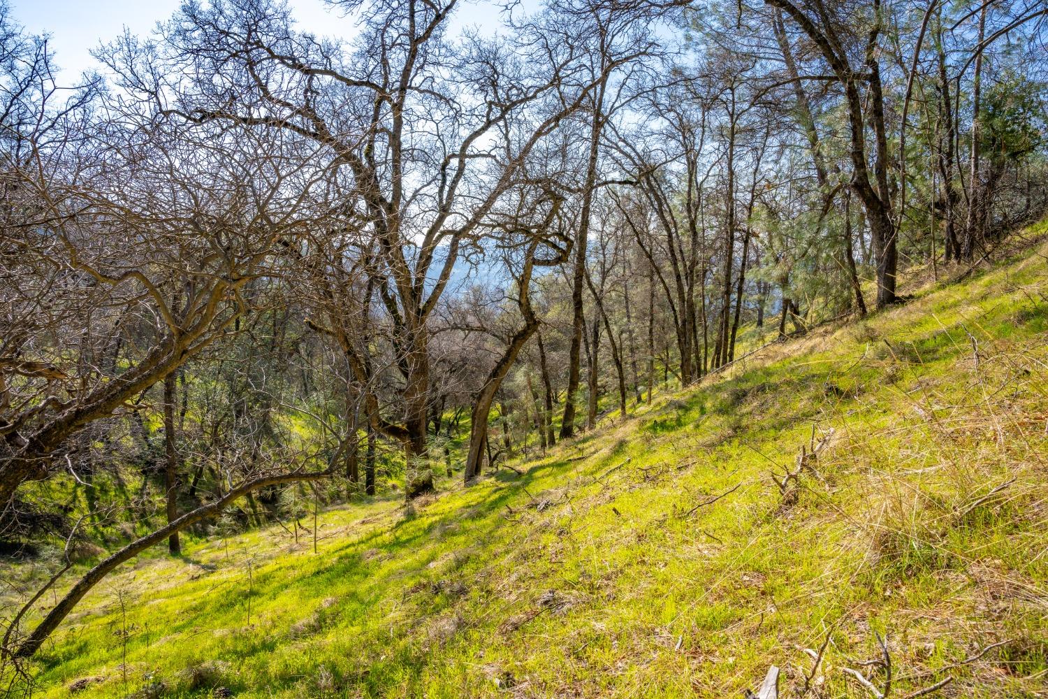 Mt Murphy Road, Garden Valley, California image 8