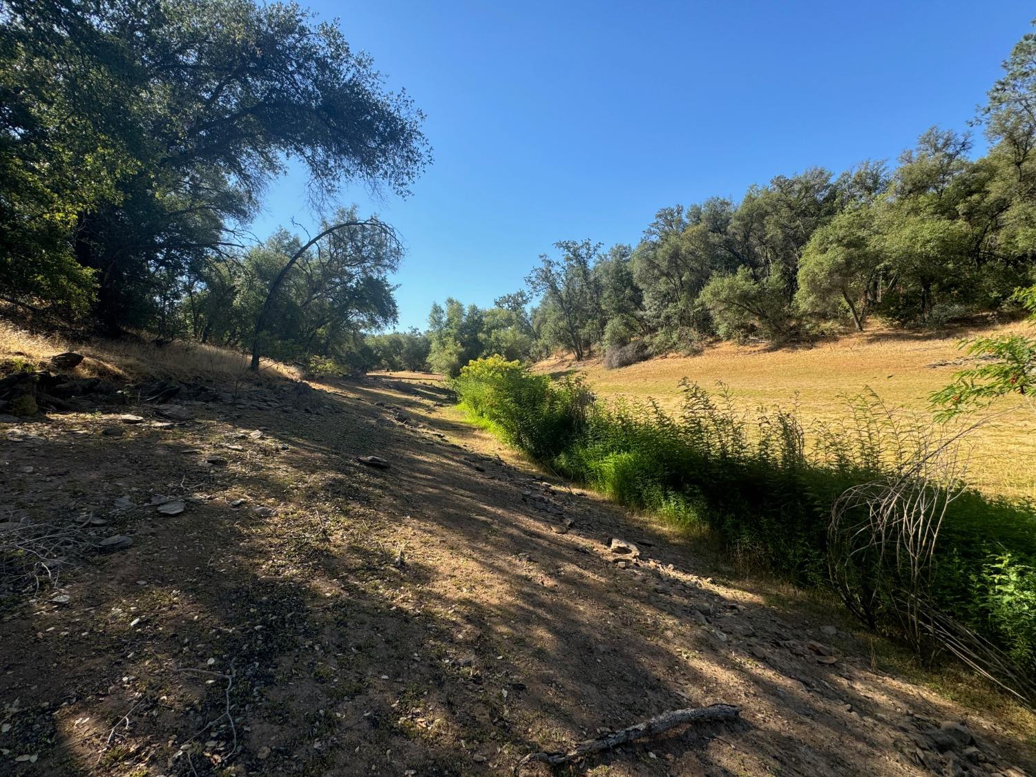 Mccourtney Road, Penn Valley, California image 23