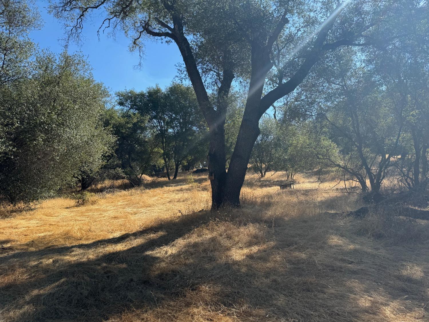 Mccourtney Road, Penn Valley, California image 19