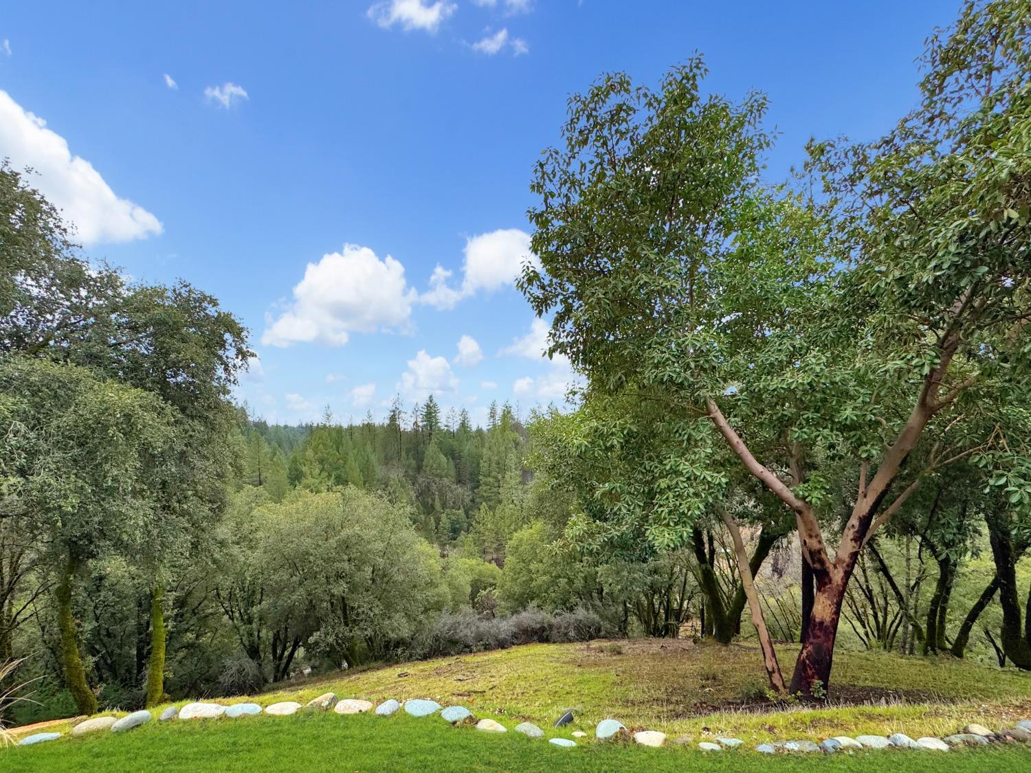 Sweet Earth Road, Colfax, California image 4