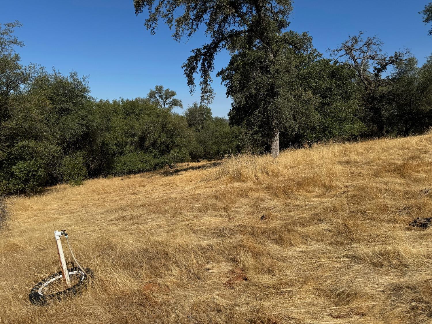 Mccourtney Road, Penn Valley, California image 31