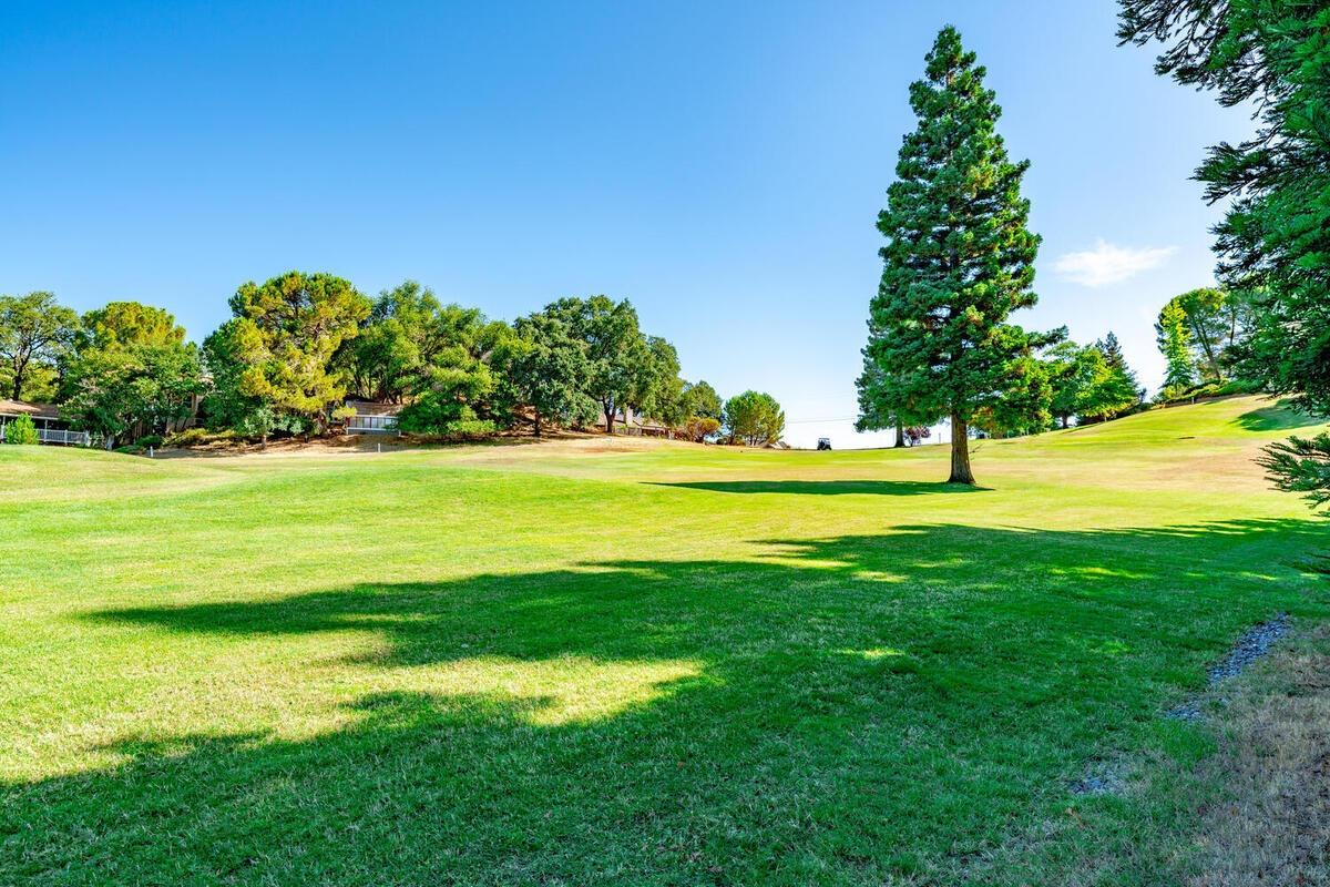 Detail Gallery Image 53 of 55 For 2049 Maydress Ct, Cool,  CA 95614 - 3 Beds | 2 Baths