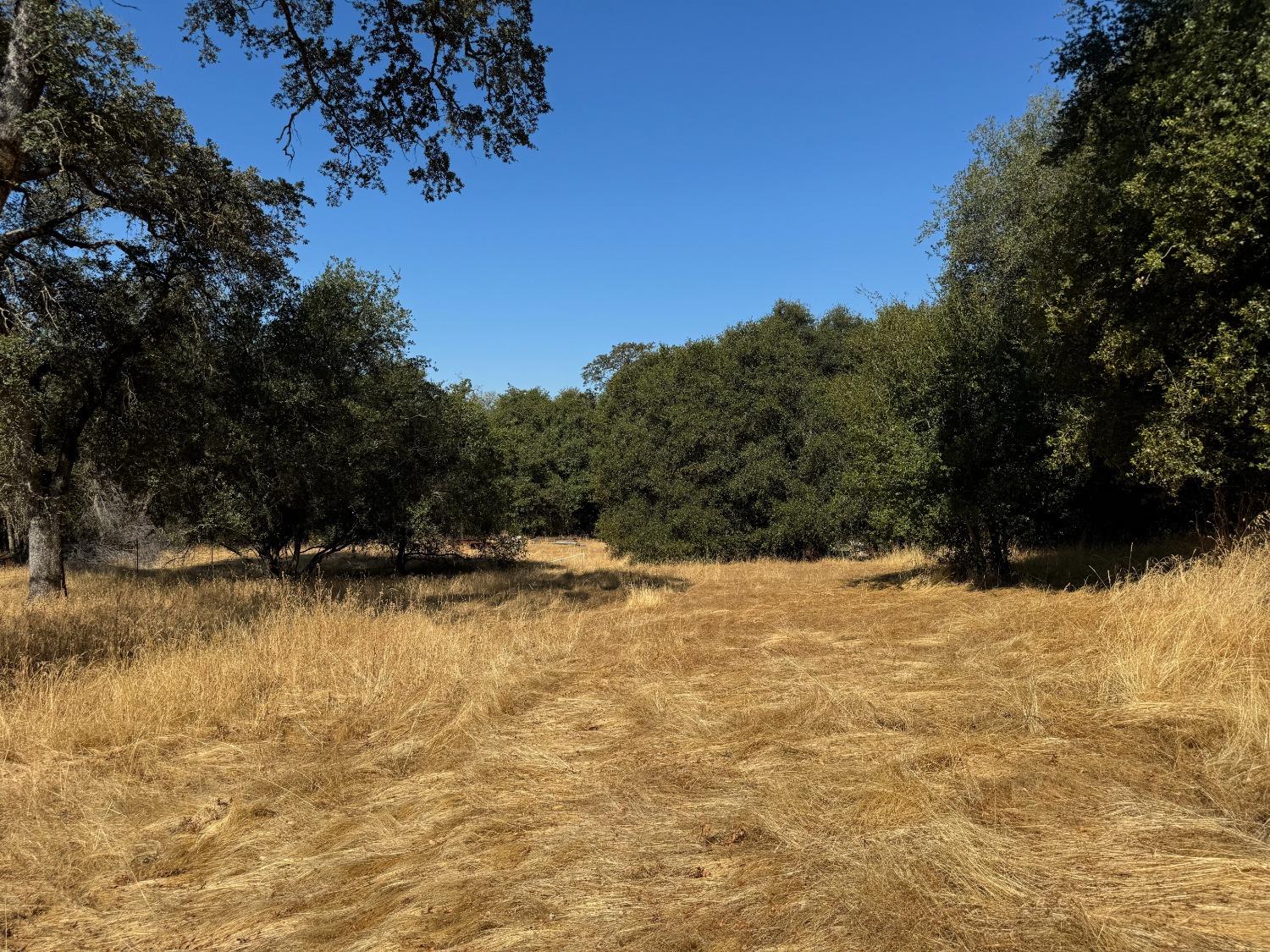 Mccourtney Road, Penn Valley, California image 32