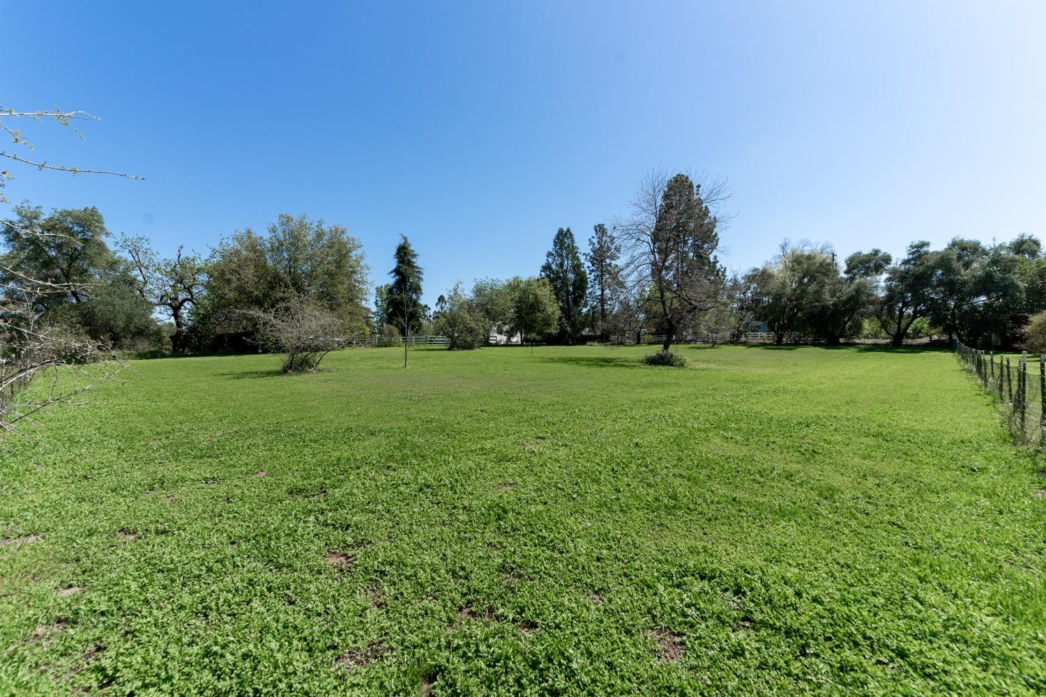 Rosa Prado Court, Orangevale, California image 5