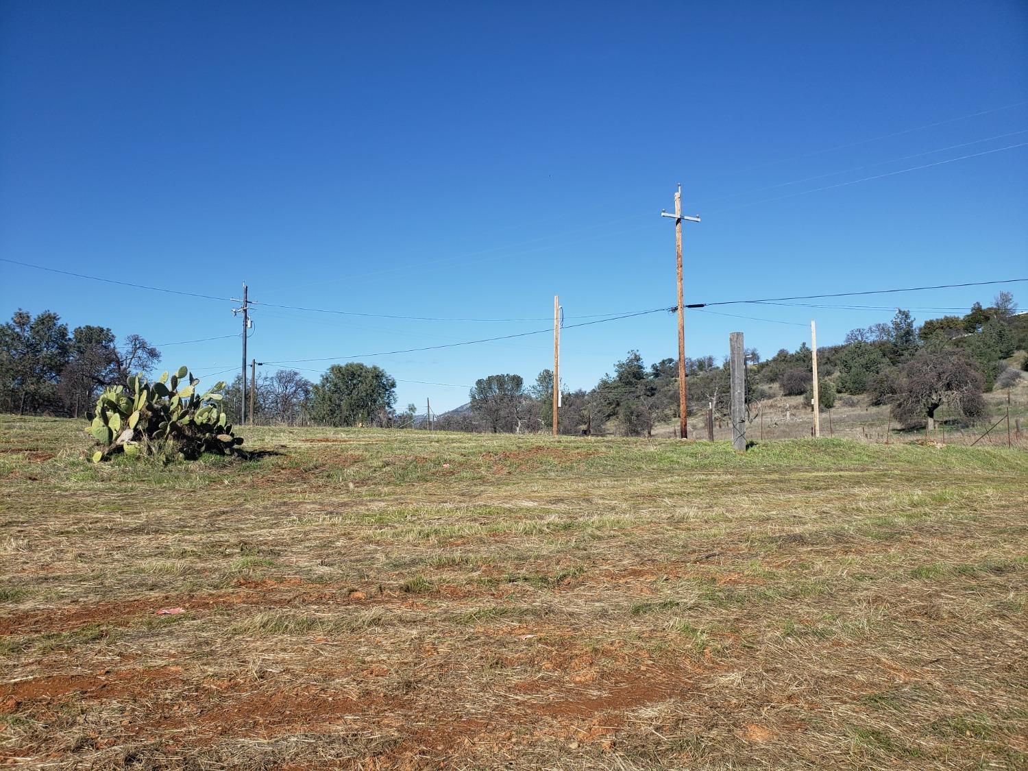 Cadena Way, Coulterville, California image 3