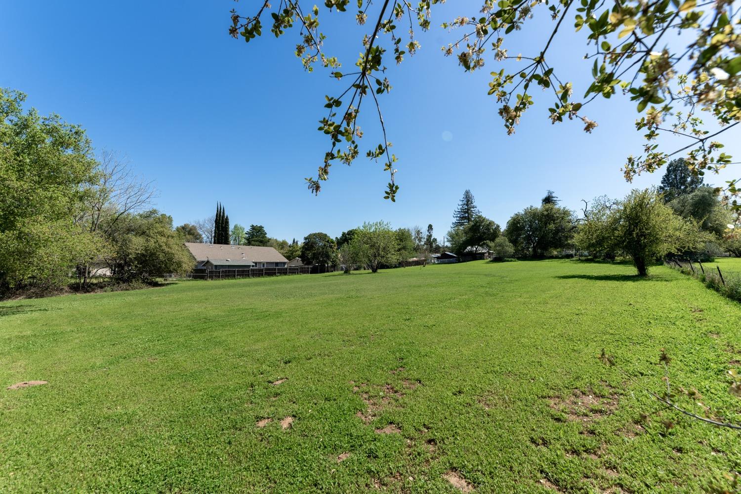 Rosa Prado Court, Orangevale, California image 12