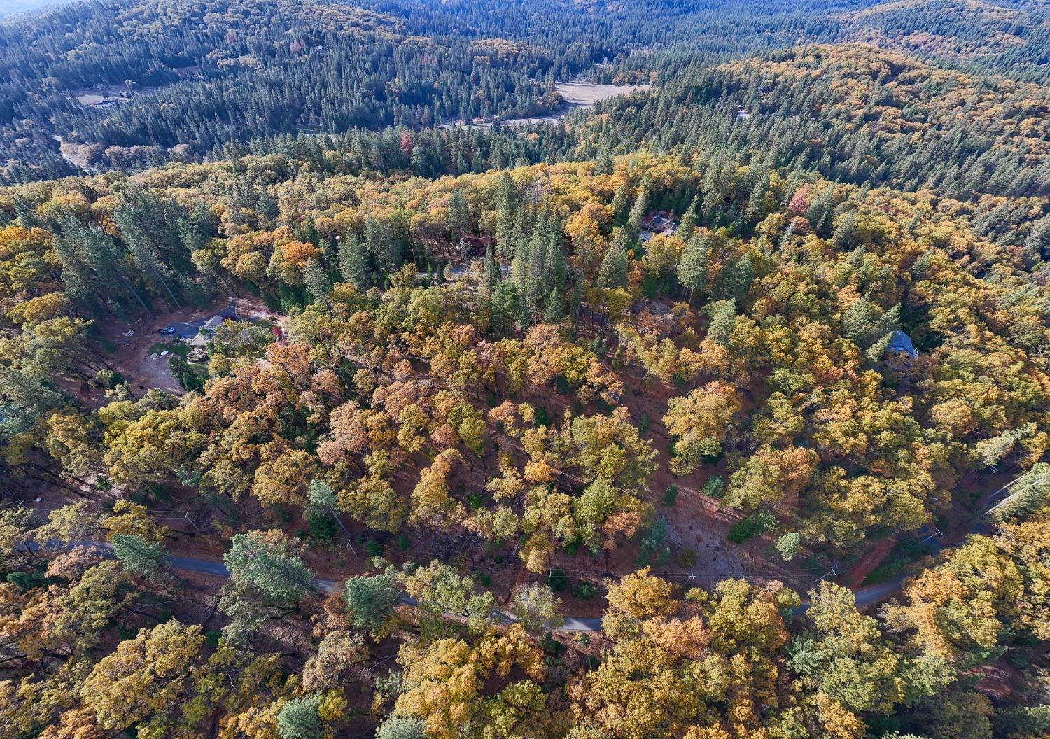 Sontag Hill Road, Grass Valley, California image 7