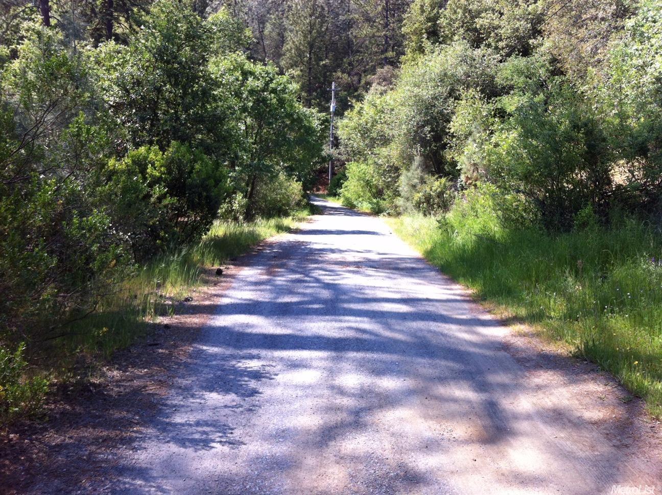 Hummingbird Lane, Cool, California image 3