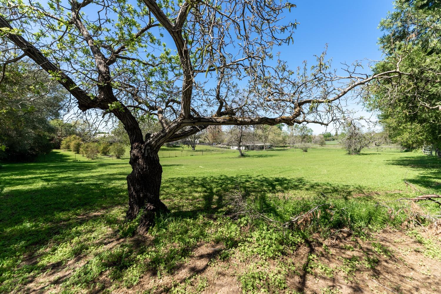 Rosa Prado Court, Orangevale, California image 3