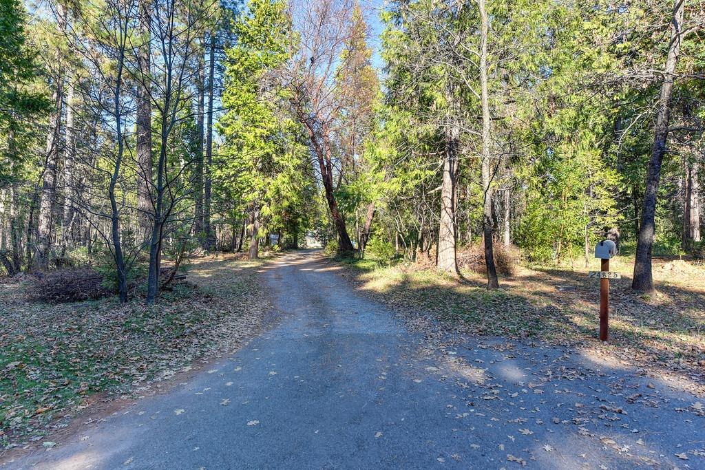 Harrison Street, Foresthill, California image 8