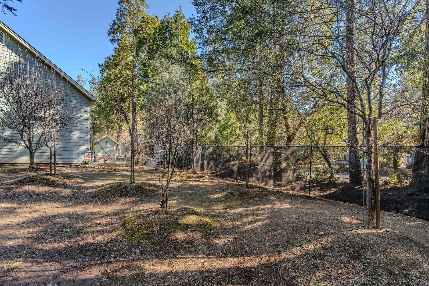 Detail Gallery Image 79 of 93 For 24985 Shake Ridge Rd, Volcano,  CA 95689 - 3 Beds | 3 Baths