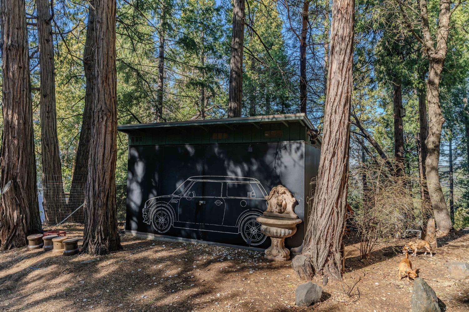 Detail Gallery Image 23 of 93 For 24985 Shake Ridge Rd, Volcano,  CA 95689 - 3 Beds | 3 Baths