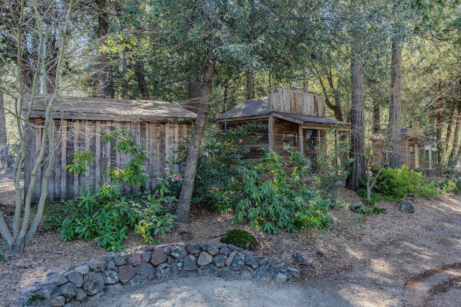 Detail Gallery Image 10 of 93 For 24985 Shake Ridge Rd, Volcano,  CA 95689 - 3 Beds | 3 Baths