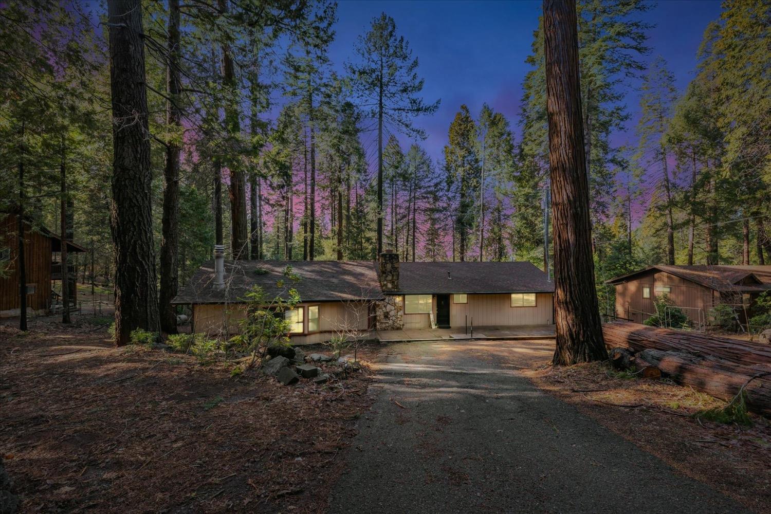 Shady Lane, Pollock Pines, California image 1