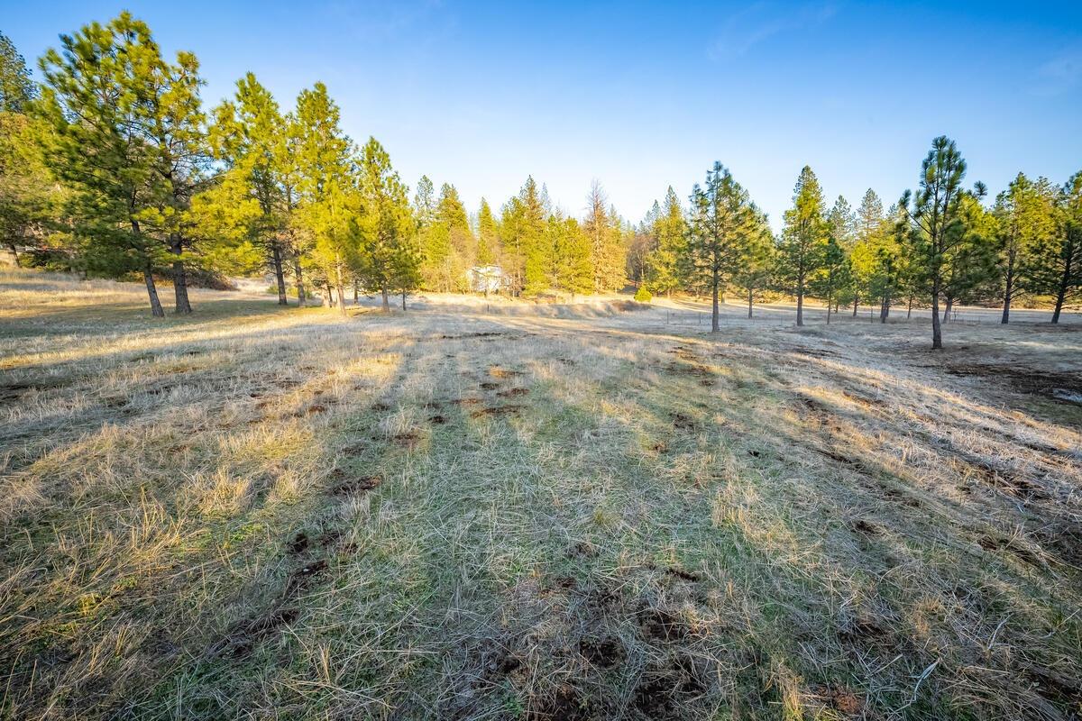 Todd Valley Road, Foresthill, California image 5