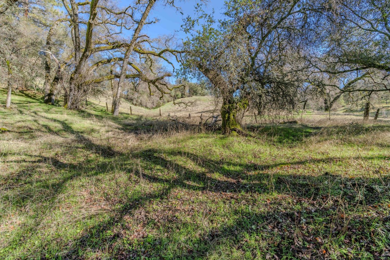 Quartz Mountain Road, Fiddletown, California image 9