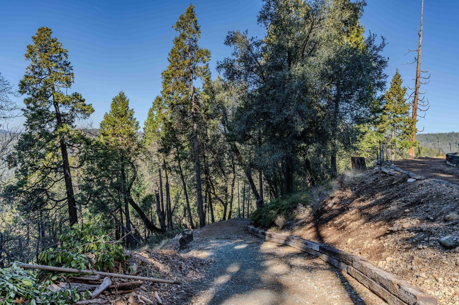 Detail Gallery Image 77 of 93 For 24985 Shake Ridge Rd, Volcano,  CA 95689 - 3 Beds | 3 Baths