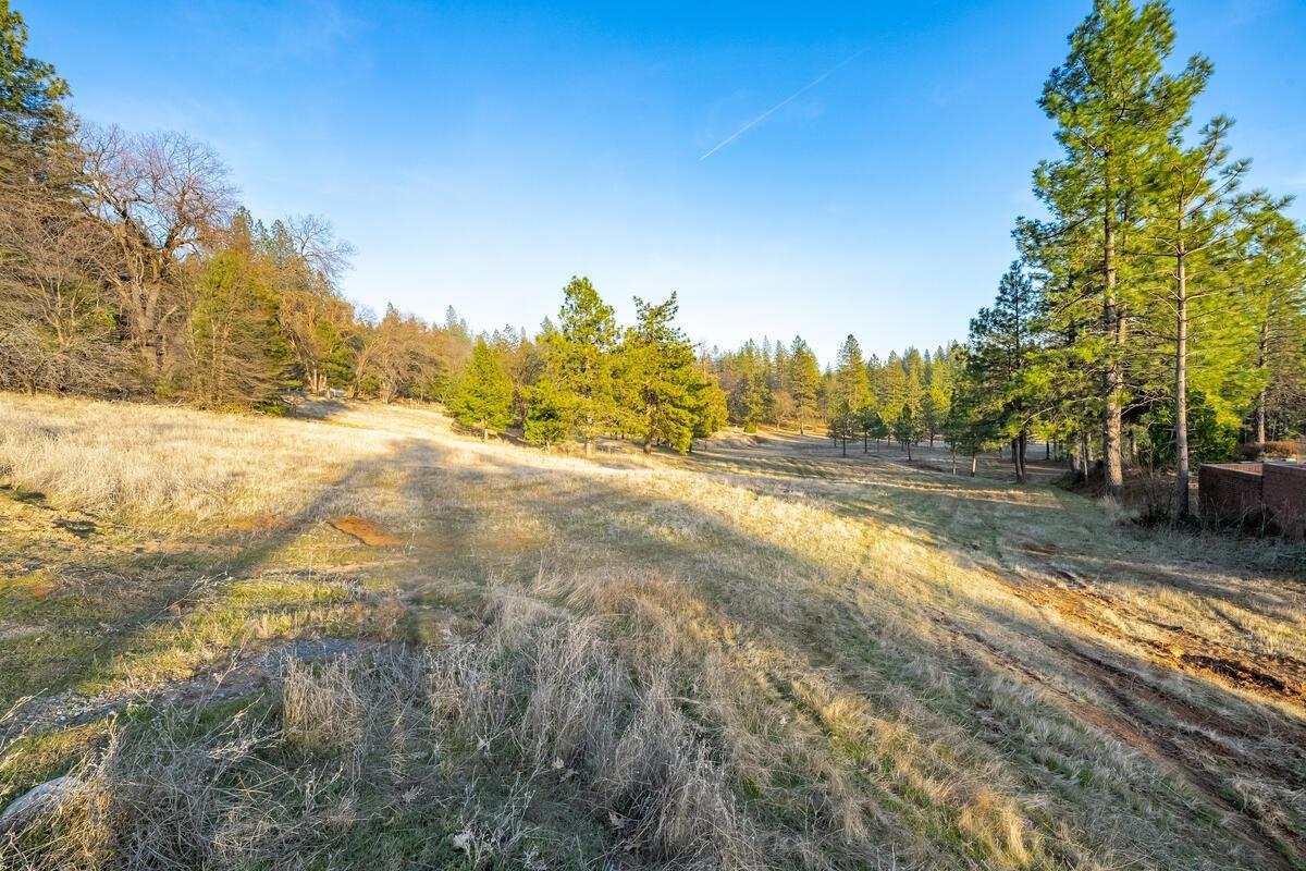 Todd Valley Road, Foresthill, California image 3