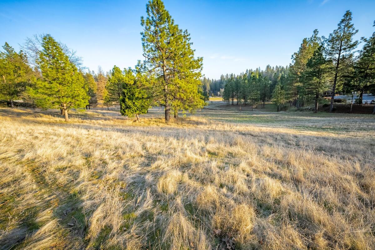 Todd Valley Road, Foresthill, California image 18