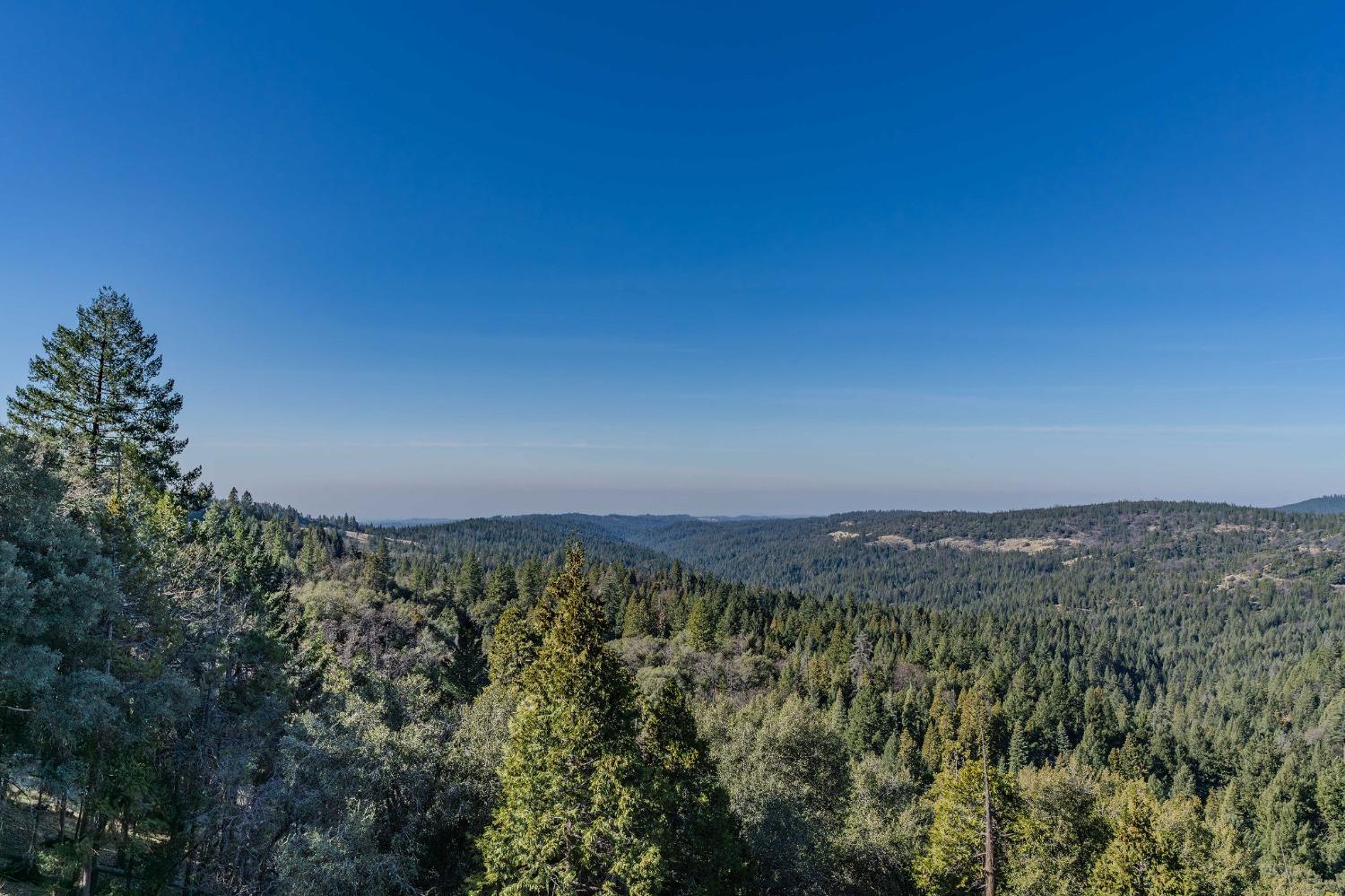 Detail Gallery Image 93 of 93 For 24985 Shake Ridge Rd, Volcano,  CA 95689 - 3 Beds | 3 Baths