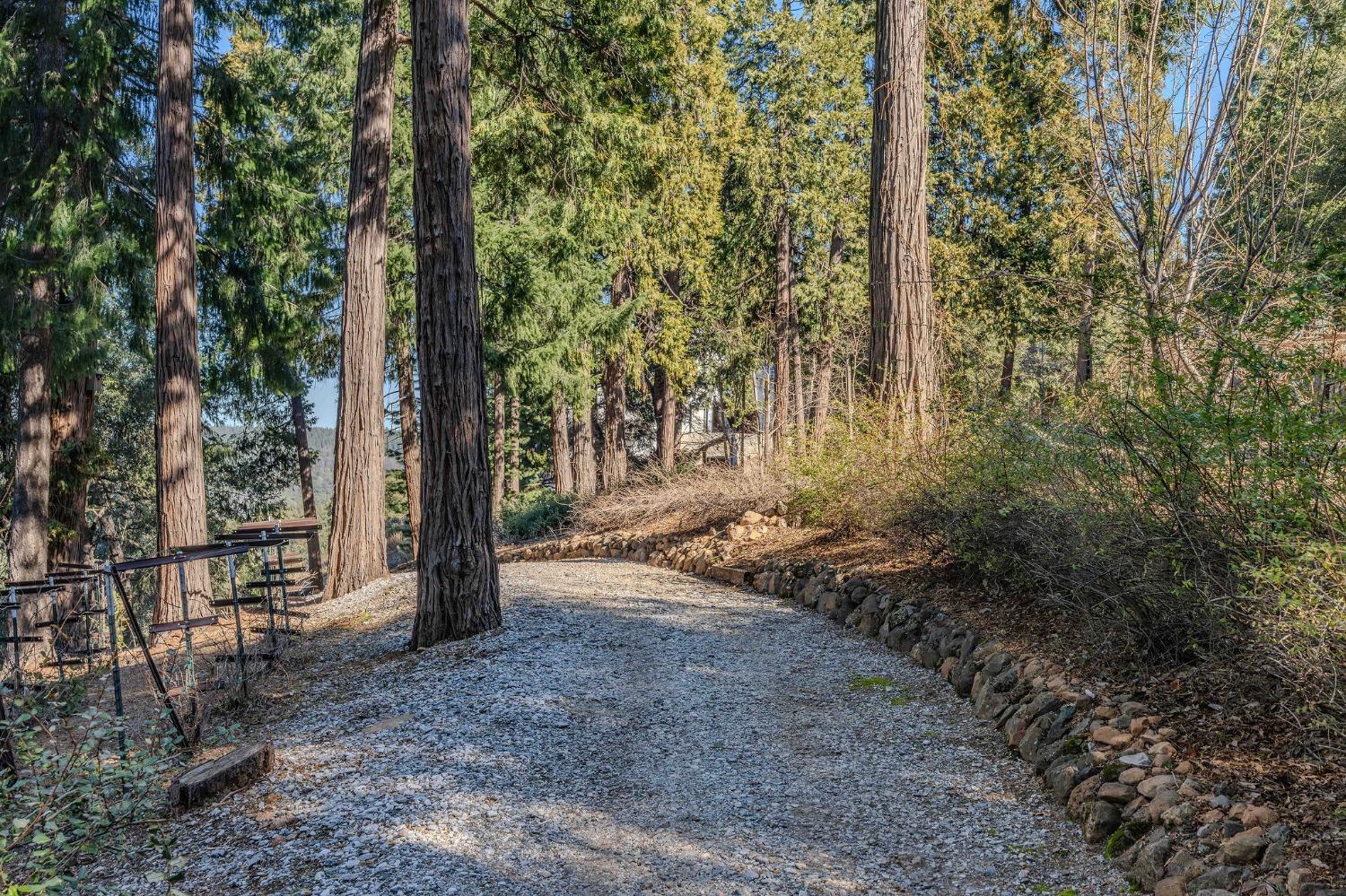Detail Gallery Image 74 of 93 For 24985 Shake Ridge Rd, Volcano,  CA 95689 - 3 Beds | 3 Baths