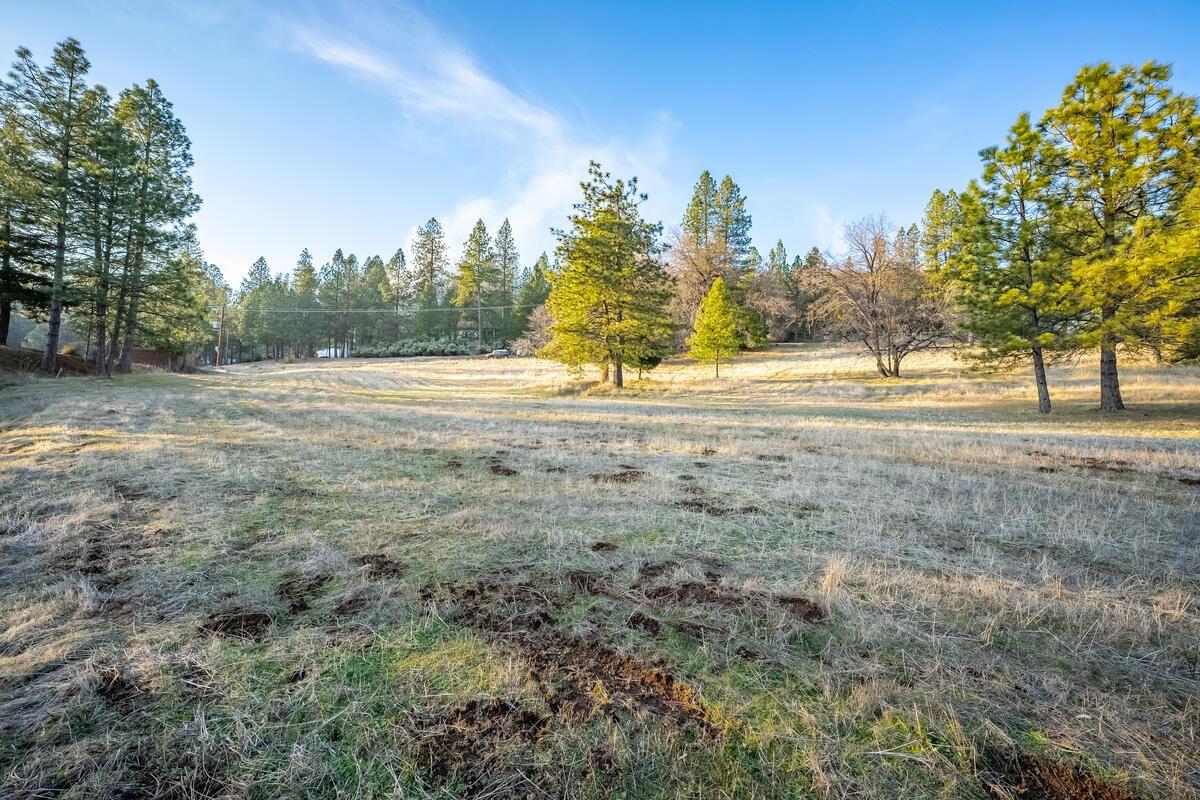 Todd Valley Road, Foresthill, California image 6