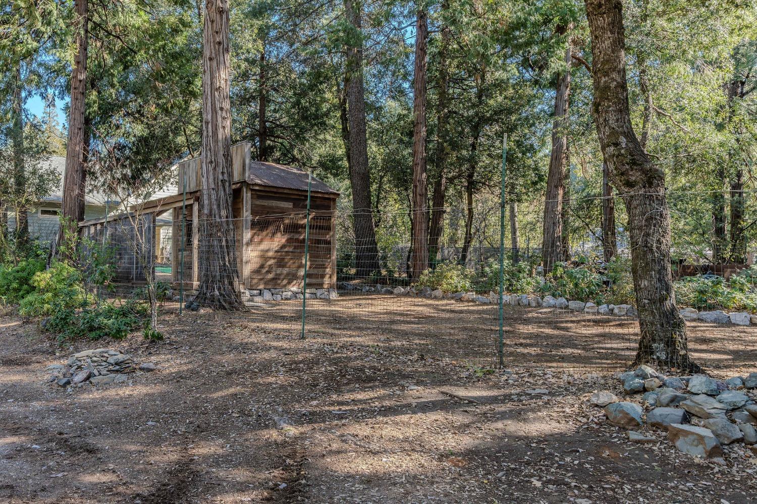 Detail Gallery Image 18 of 93 For 24985 Shake Ridge Rd, Volcano,  CA 95689 - 3 Beds | 3 Baths
