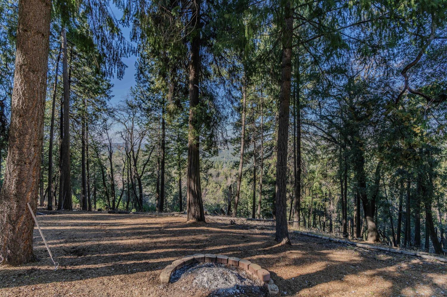 Detail Gallery Image 25 of 93 For 24985 Shake Ridge Rd, Volcano,  CA 95689 - 3 Beds | 3 Baths